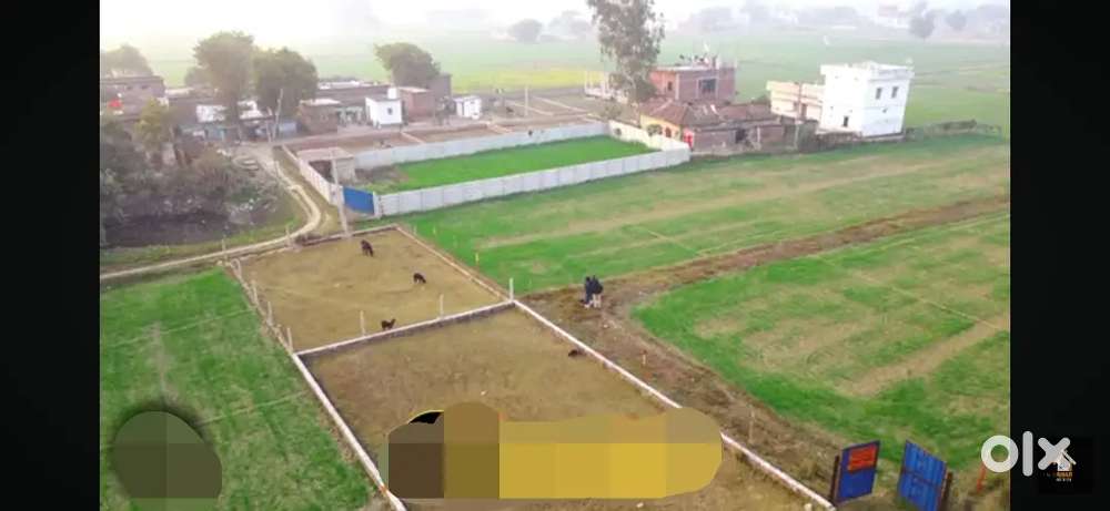 स्वर्वेद महामंदिर , डुबकियां मार्केट  से 1.5 km अंदर