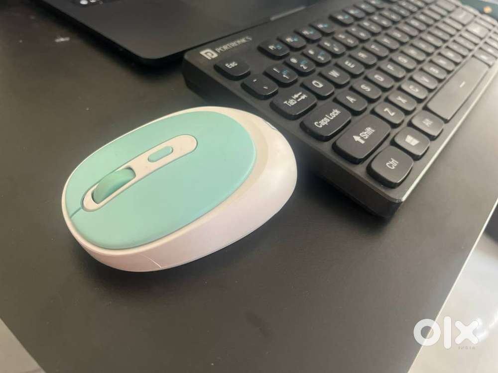 Keyboard and mouse
