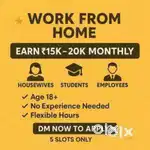 Online Bussiness Opportunity From Home 15+