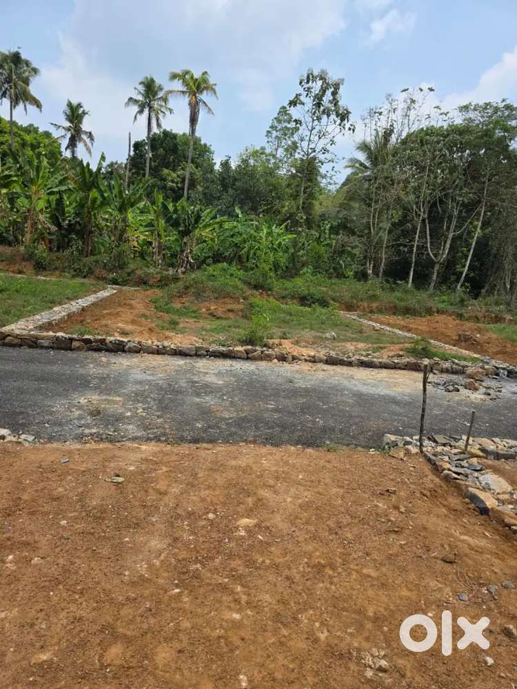 Angamaly near appollo hospital 5,6, 8, 10, cent plots available