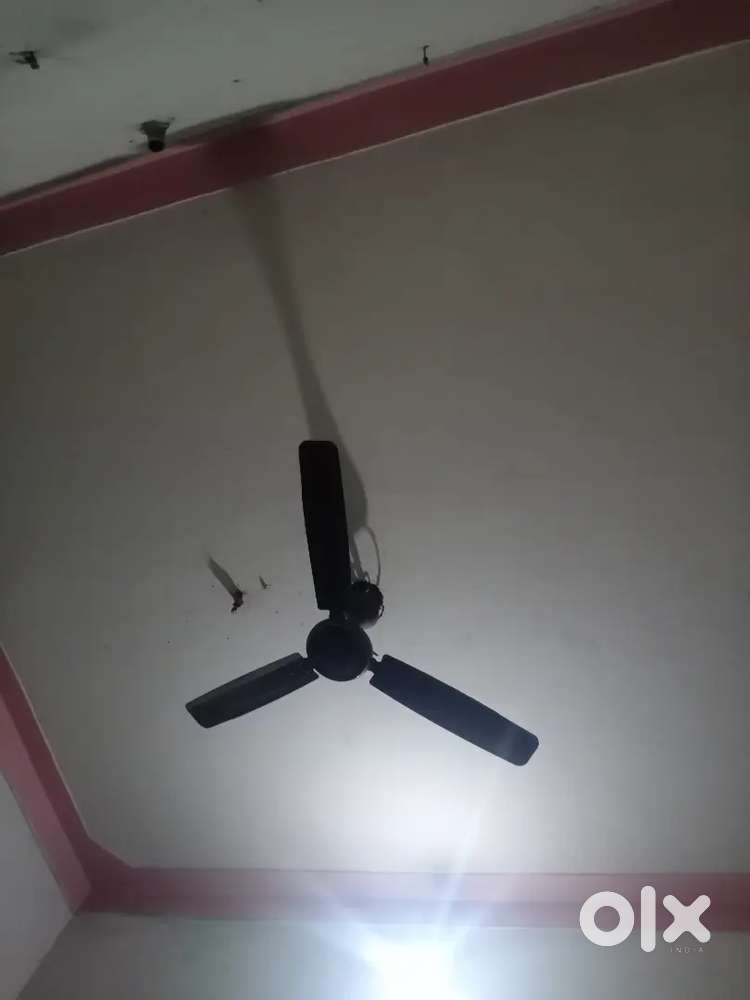Selling fan
