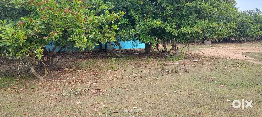 4 Dicimil plot available near jaganath medical College