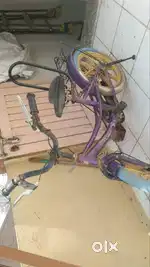 5 yrs old cycle