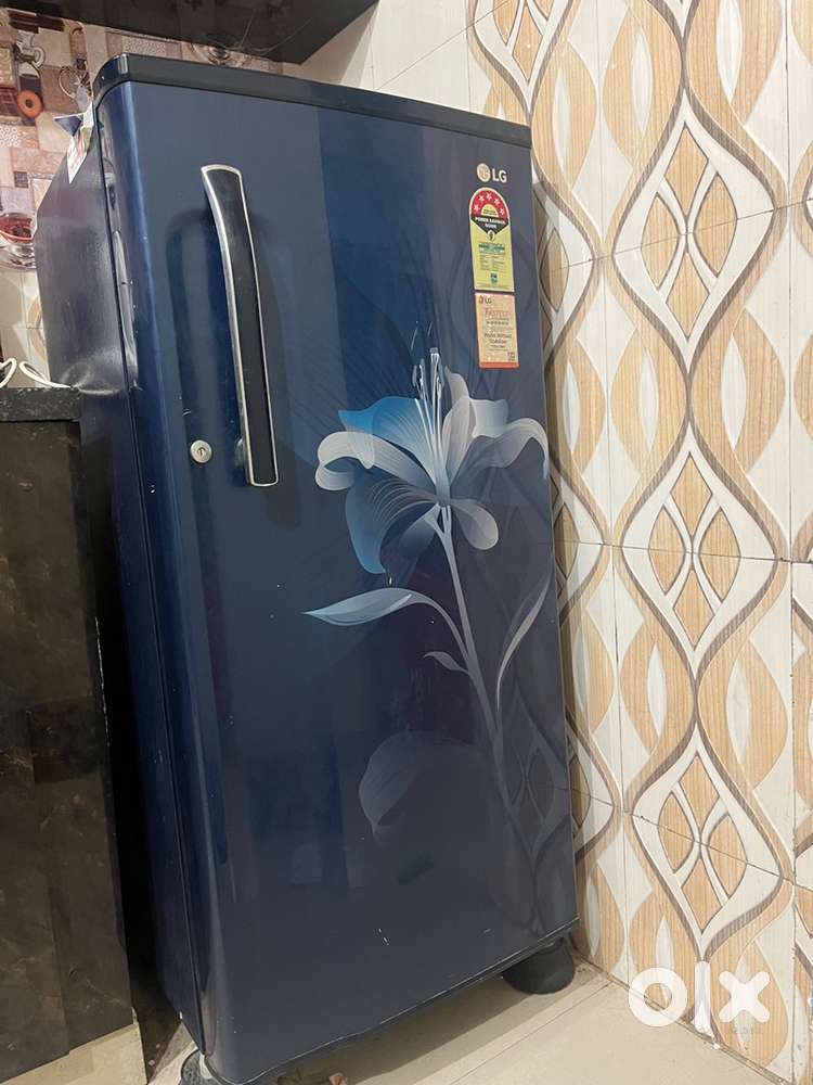 LG fridge 5 star 190L