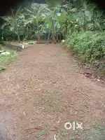 5 cent square plot near NH Puthencruz