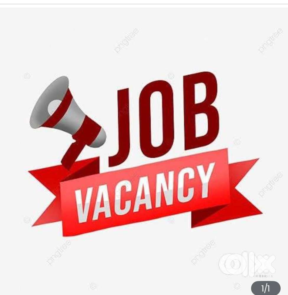 Back office job for Ecommerce company