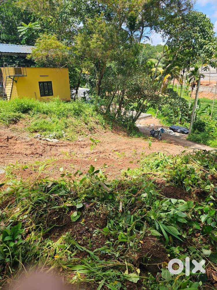 25 Cent Property for rent, Thottikallu, Alamcode, Near attingal Bypass