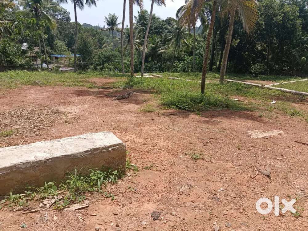 Mukkampalamoodu chittazha mannanthala 6,12 6.5 cent plot 400 mtr mc