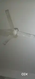 Fan for sale