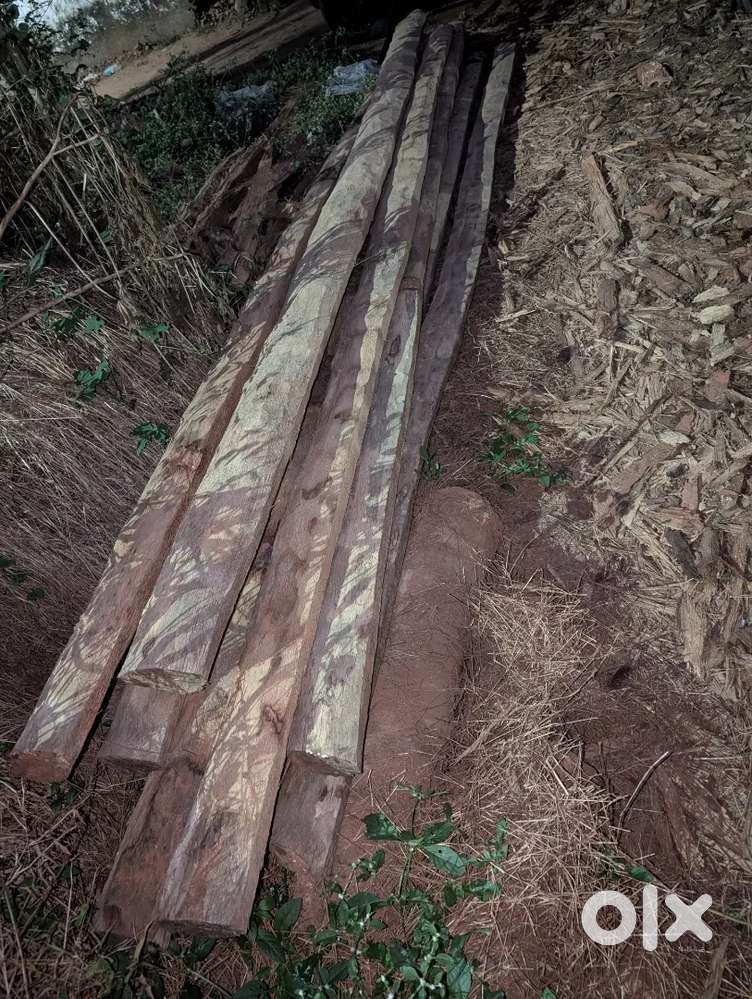 Coconut tree roof trusses