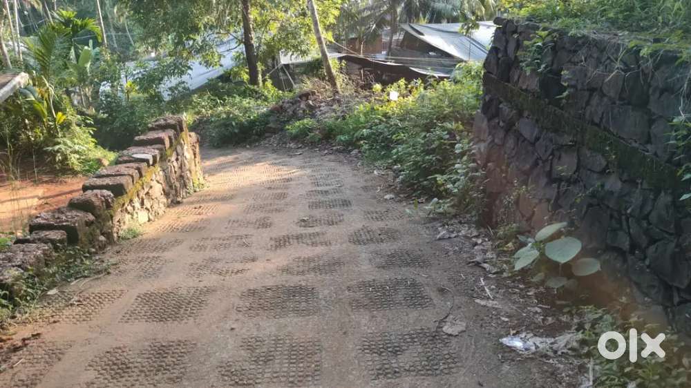 10 cent land for sale