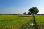 4 acre agriculture jamin