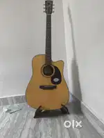 Guitar for Saga
