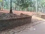 8/10/20 cent plots near kovoor MLA road nearby