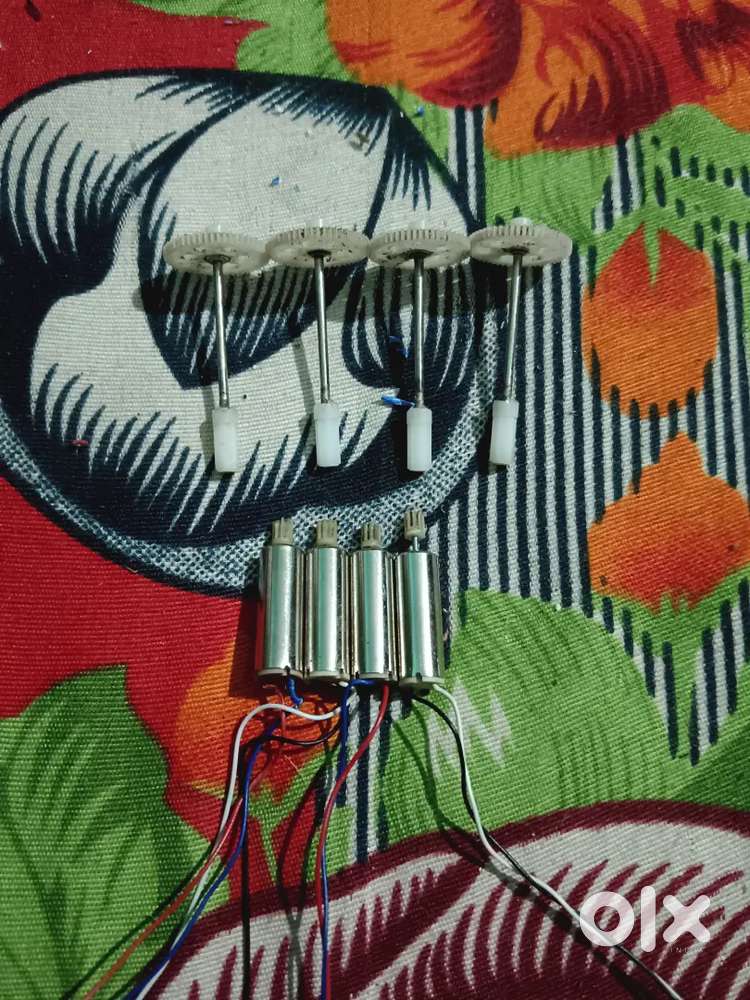 Netaji Nagar Cuttack