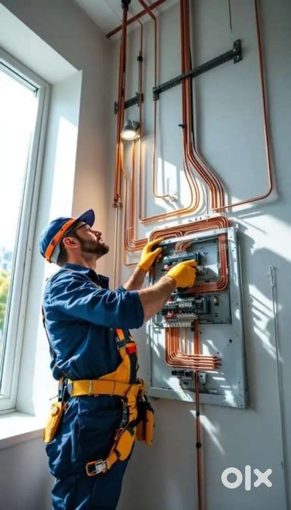 Electrician (എക്സ്പീരിയൻസ് / ഫ്രഷേഴ്‌സ് )