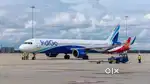 Cabin crew/Airport Ground Staff Job in indigo limited Vacancy Required