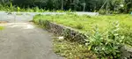 ഏറ്റുമാനൂരിൽ വീടിനു പറ്റിയ പ്ലോട്ട്