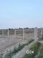 5 Bigha Farm Land on Jewar Connecting Road  Ready with Facilities