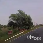 कचौरा बाईपास on रोड पर