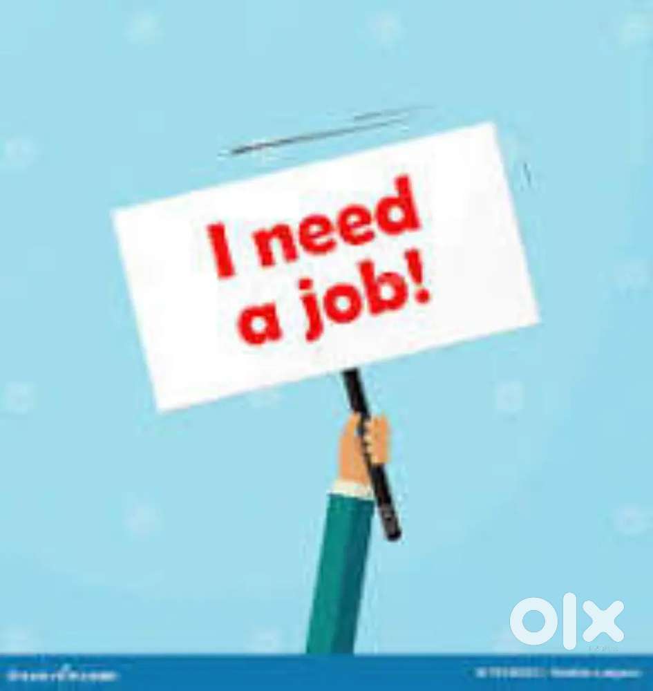 I need job, Laxmangarh ya Sikar me koi achi si store job ho to bataoo