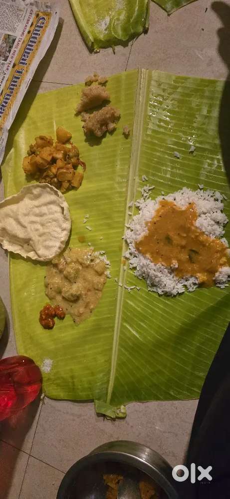 Wanted south indian chef,biriyani master, parotta,grill ,Chinese