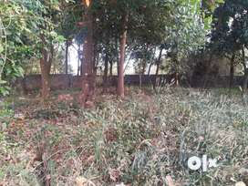 Bus route frontage plot for sale kannadi