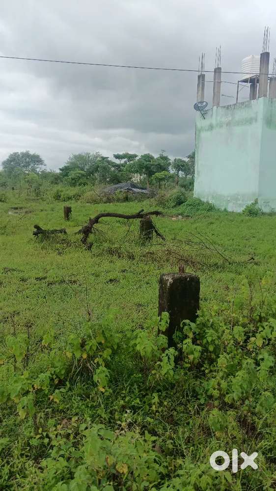 Plot sell  bairagarh Kala beshkedhi