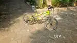 X Bicycle 7 gear