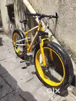 Hoopoe fat bike cylce