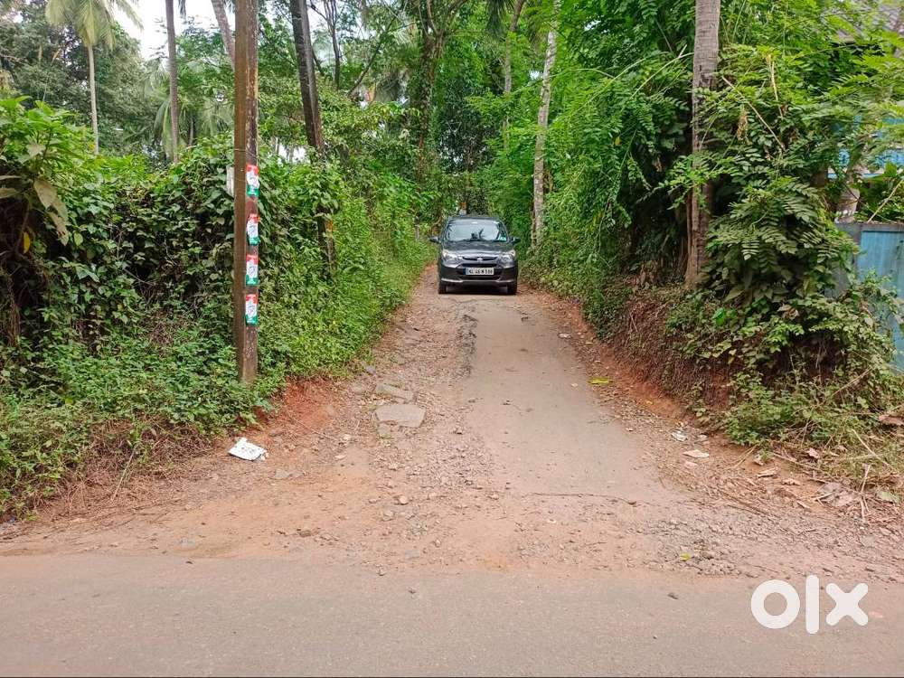 One Acre Thirty Eight Cents Plot for sale in Kottayi, Palakkad