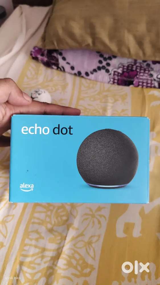 Alexa Echo Dot