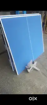 Table tennis