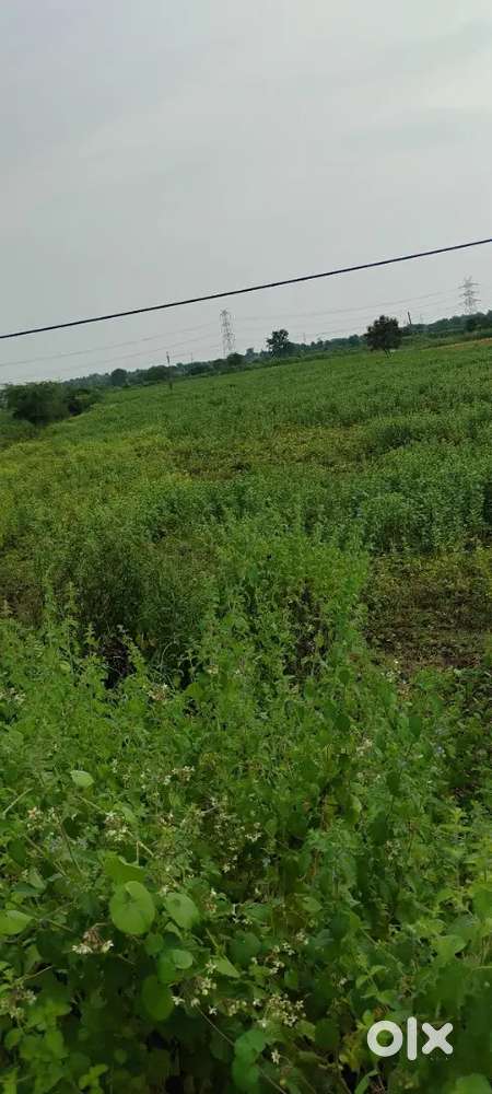 2.5 ACRE LAND FOR SALE AT NANDGAON – Prime Location