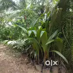 ജനറൽ ഹെൽപ്പർ.