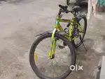Cycle at low price  street cat model