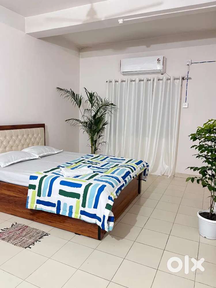 2 bhk independent furnished homestay for rent at Ghoramara.bhatapara