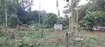 Muvatupuzha kakanad 350 mtr only 22 cent residential plot openwell wtr