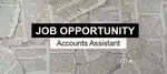 Accountant
