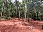 8 Cent Residential Land For Sale at Thottada, Kannur (ml)