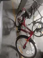 Avon cycle