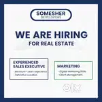 Designation: Sales Executive / Telecaller / / Marketing Executive /