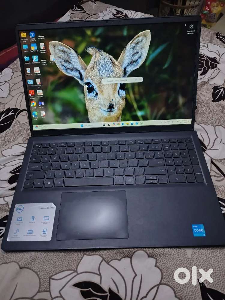 Dell Inspiron 15 3000