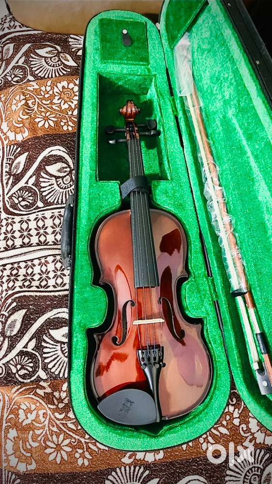 Violins - FILBERT and TRINTY