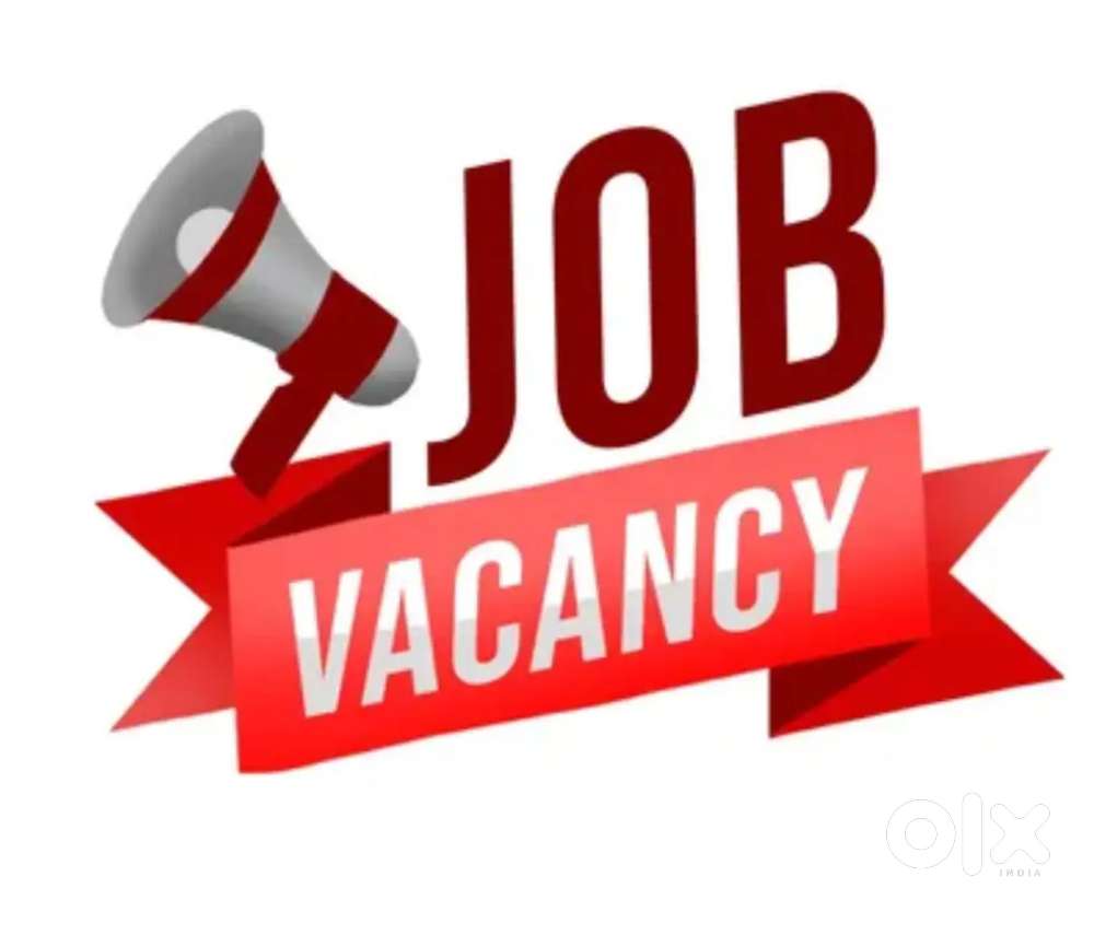 8th pass fresher job available