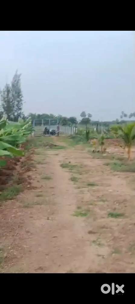 1.5 acres for sale in prancherry