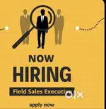 MARKETINRG EXECUTIVE & TELECALLERS