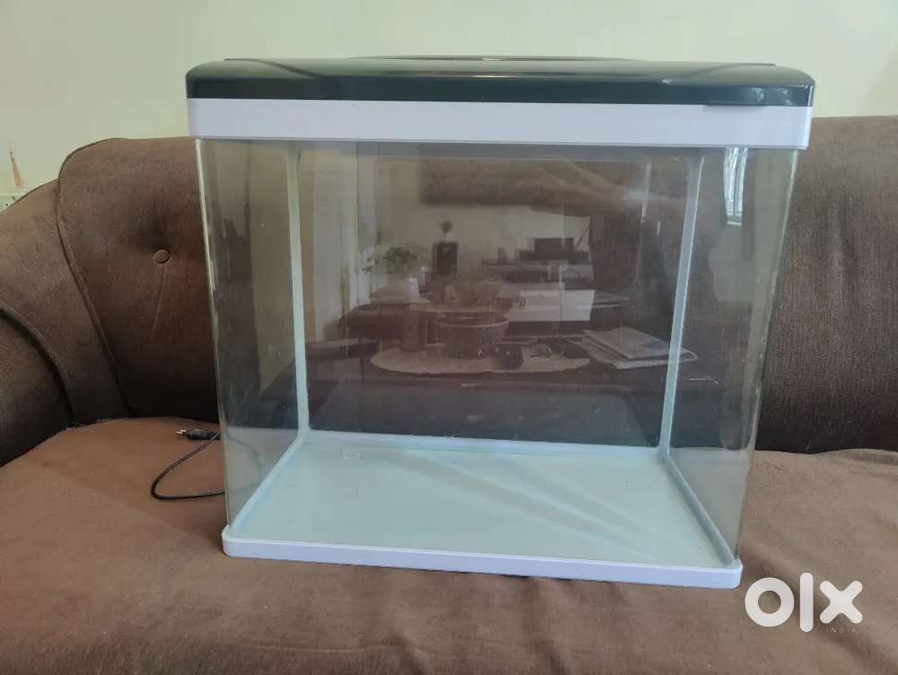 Aquarium Tank (with light)