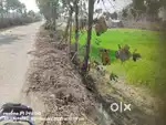rime Investment Land for Sale in Paharpur, East Champaran