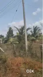 Prime 6 Acres for Sale
